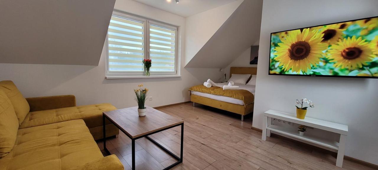 Kolorowe Cieplice - Apartamenty Z Widokiem Na Karkonosze Jelenia Góra Extérieur photo
